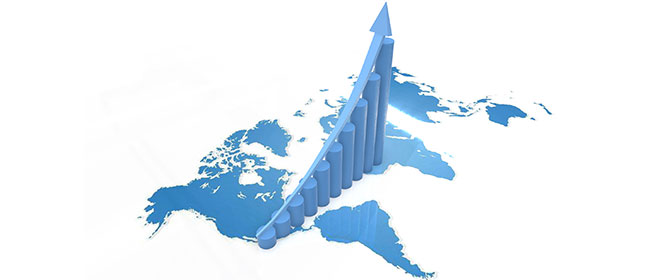 國內(nèi)外銷售網(wǎng)絡(luò) 國內(nèi)外銷售網(wǎng)絡(luò)